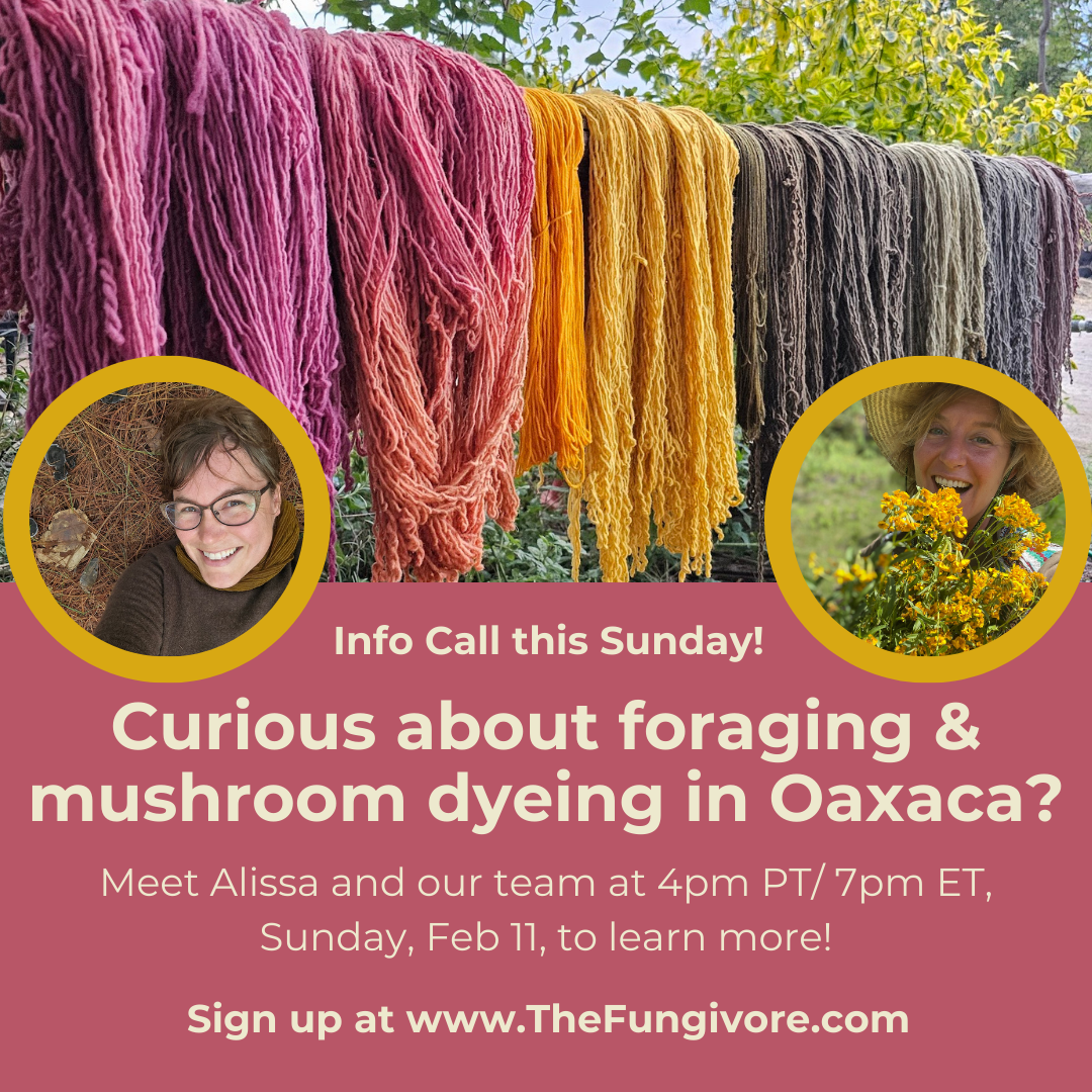 Load video: Info call for MyColores Mushroom Dyeing in Oaxaca with Mycopigment&#39;s Alissa Allen.